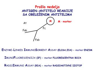 Prošla nedelja ANTIGEN -ANTITELO REAKCIJE SA OBELEŽENIM ANTITELIMA