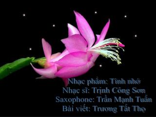 Nhạc phẩm: Tình nhớ Nhạc sĩ: Trịnh Công Sơn Saxophone: Trần Mạnh Tuấn Bài viết: Trương Tất Thọ