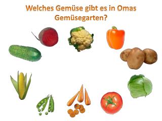 Welches Gemüse gibt es in Omas Gemüsegarten ?