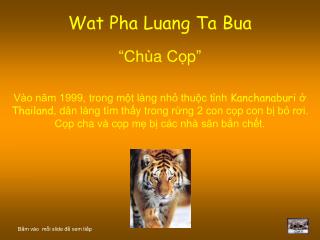 Wat Pha Luang Ta Bua “ Chùa Cọp ”