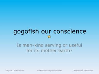 gogofish our conscience