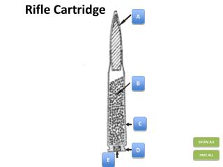 Rifle Cartridge