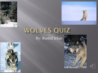 Wolves quiz