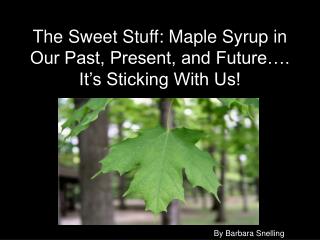 The Sweet Stuff: Maple Syrup in Our Past, Present, and Future…. It’s Sticking With Us!