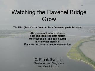 Watching the Ravenel Bridge Grow