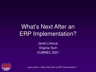 What’s Next After an ERP Implementation?