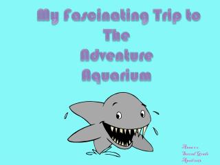 My Fa sc inating Trip to The Adventure Aquarium