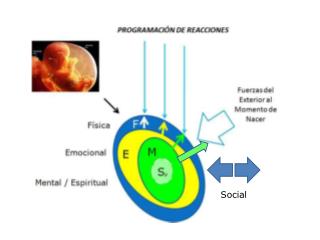 Social