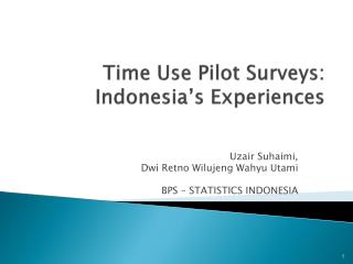 Time Use Pilot Surveys: Indonesia’s Experiences