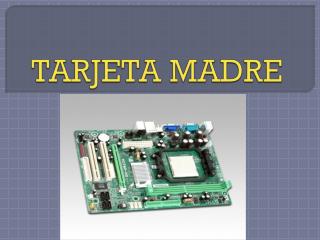 TARJETA MADRE