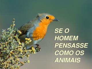 SE O HOMEM PENSASSE COMO OS ANIMAIS