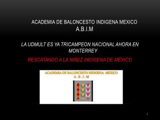 ACADEMIA DE BALONCESTO INDIGENA MEXICO A.B.I.M