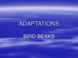 ADAPTATIONS