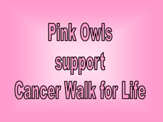 Pink Owls support Cancer Walk for Life