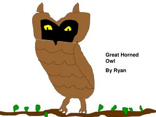 Great Horned Owl By Ryan
