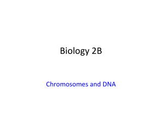 Biology 2B