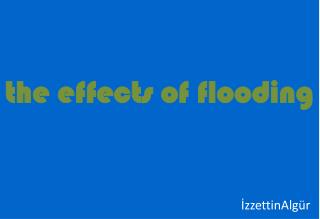 the effects of flooding