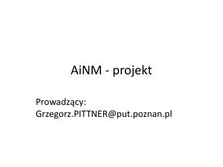 AiNM - projekt