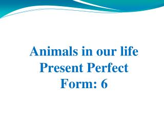 Animals in our life Present Perfect Form: 6