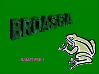 BROASCA