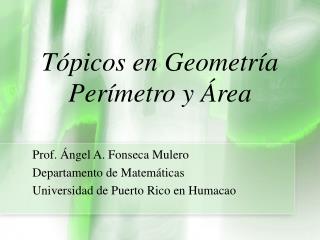 Tópicos en Geometría Perímetro y Área