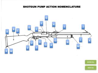 SHOTGUN PUMP ACTION NOMENCLATURE