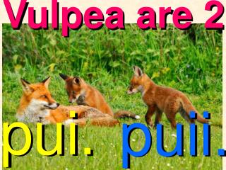 Vulpea are 2