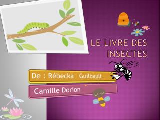 Le livre des insectes