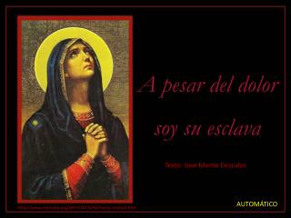 A pesar del dolor