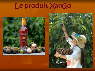 Le produit XanGo