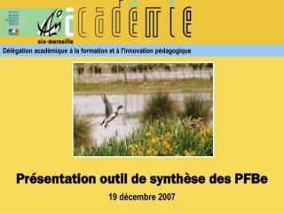 Présentation outil de synthèse des PFBe 19 décembre 2007