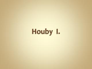 Houby I.