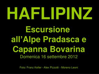 HAFLIPINZ