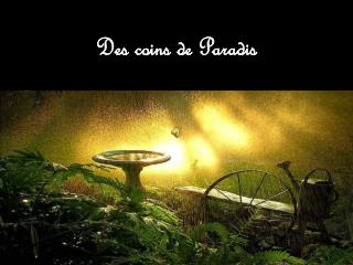 Des coins de Paradis