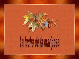 La lucha de la mariposa