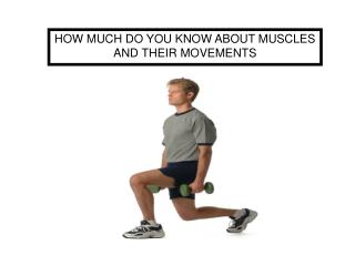 HOW MUCH DO YOU KNOW ABOUT MUSCLES AND THEIR MOVEMENTS