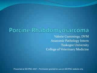 Porcine Rhabdomyosarcoma
