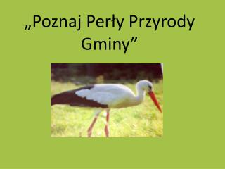 „Poznaj Perły Przyrody Gminy”