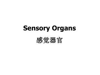 Sensory Organs 感觉器官