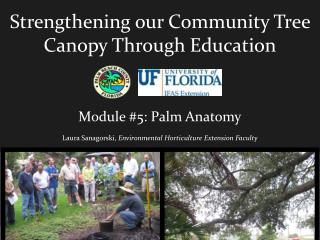 Strengthening our Community Tree Canopy Through Education Module #5: Palm Anatomy