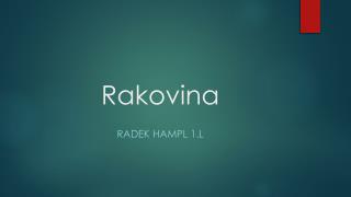 Rakovina