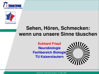 Sehen, Hören, Schmecken: wenn uns unsere Sinne täuschen