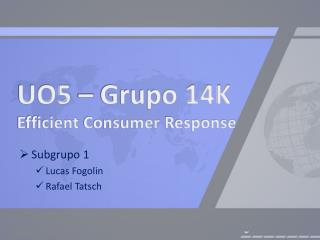 UO5 – Grupo 14K Efficient Consumer Response