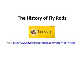 The history of fly rods