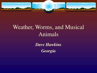 Weather, Worms, and Musical Animals