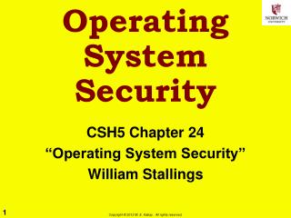 Operating System Security