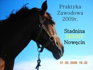 Praktyka Zawodowa 2009r.