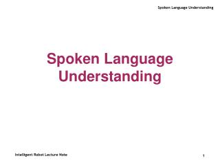 Spoken Language Understanding