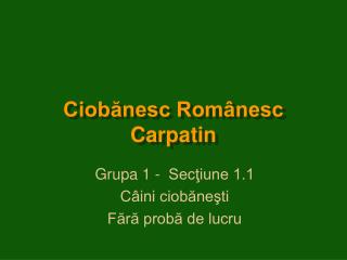 Ciobănesc Românesc Carpatin