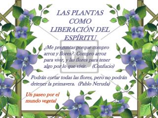 LAS PLANTAS COMO LIBERACIÓN DEL ESPÍRITU